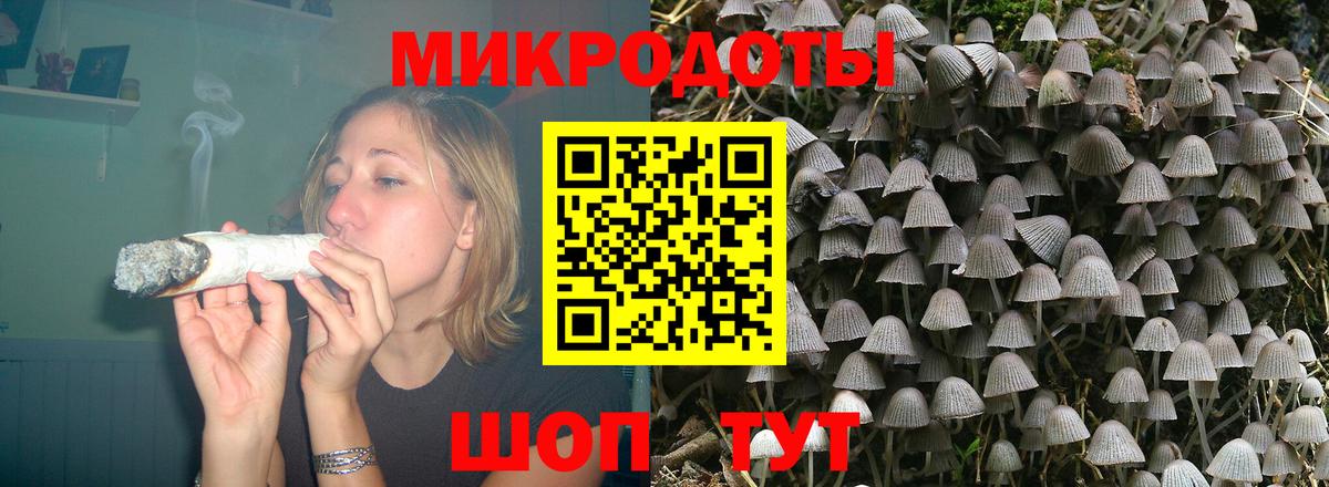 Галлюциногенные грибы Cubensis Таганрог