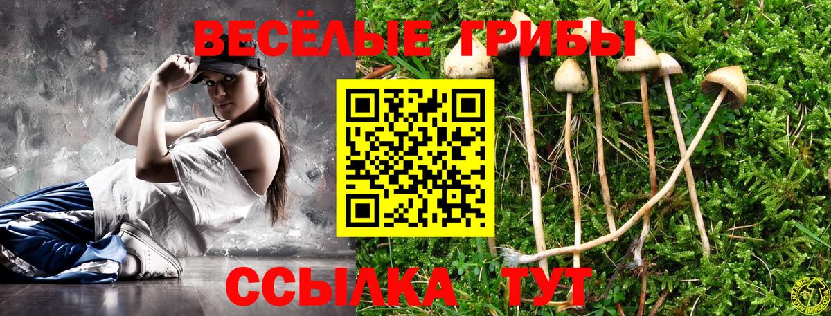 что такое наркотик  Вход с VPN  Галлюциногенные грибы прущие грибы  Таганрог  Псилоцибиновые грибы мицелий 